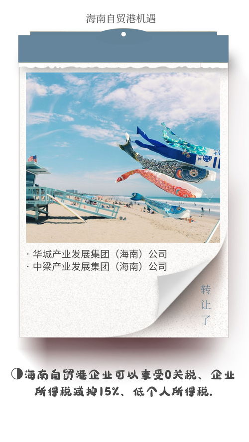 海南自貿(mào)港文旅集團與德國企業(yè)對比 稅收優(yōu)勢凸顯，文化藝術(shù)交流新機遇